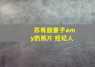 苏有朋妻子amy的照片 经纪人